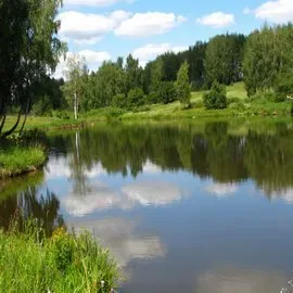 Тульская область