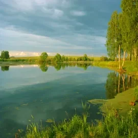 Рязань