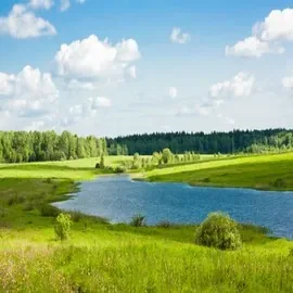 Рязанская область