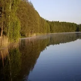 Калужская область