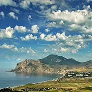 Саки