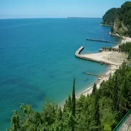 Мюссера