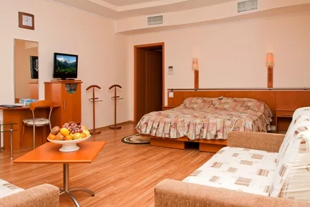 Двухместный номер COMFORT Plus 
