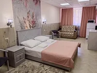 Одноместный номер Junior suite 