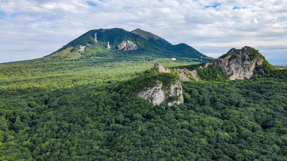 ООО "Буковая роща"