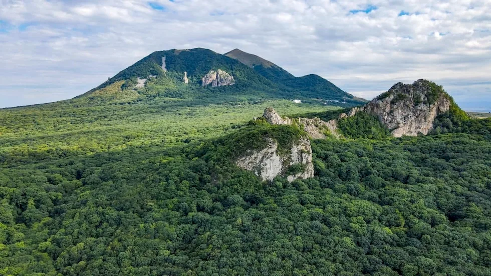 ООО "Буковая роща"