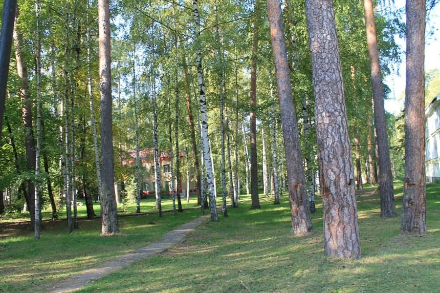 ЛПЧУП Санаторий "Васильевский"