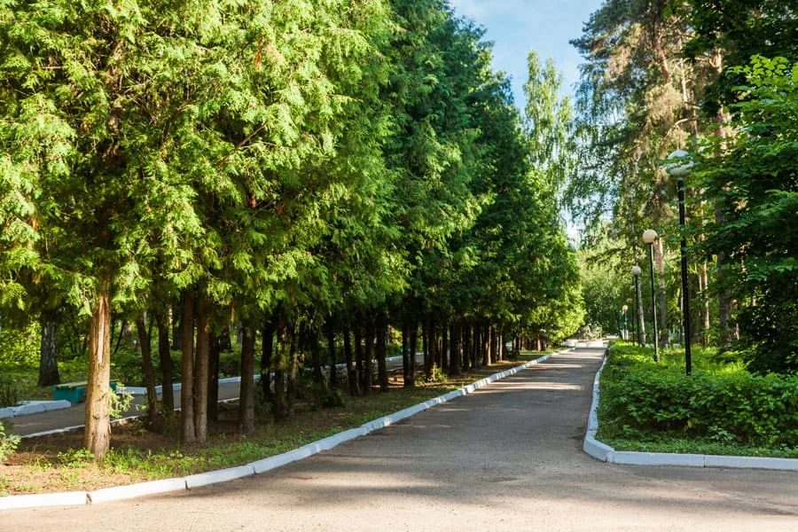 ЛПЧУП Санаторий "Васильевский"
