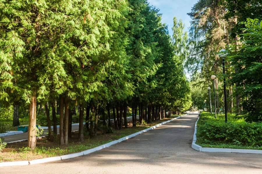 ЛПЧУП Санаторий "Васильевский"
